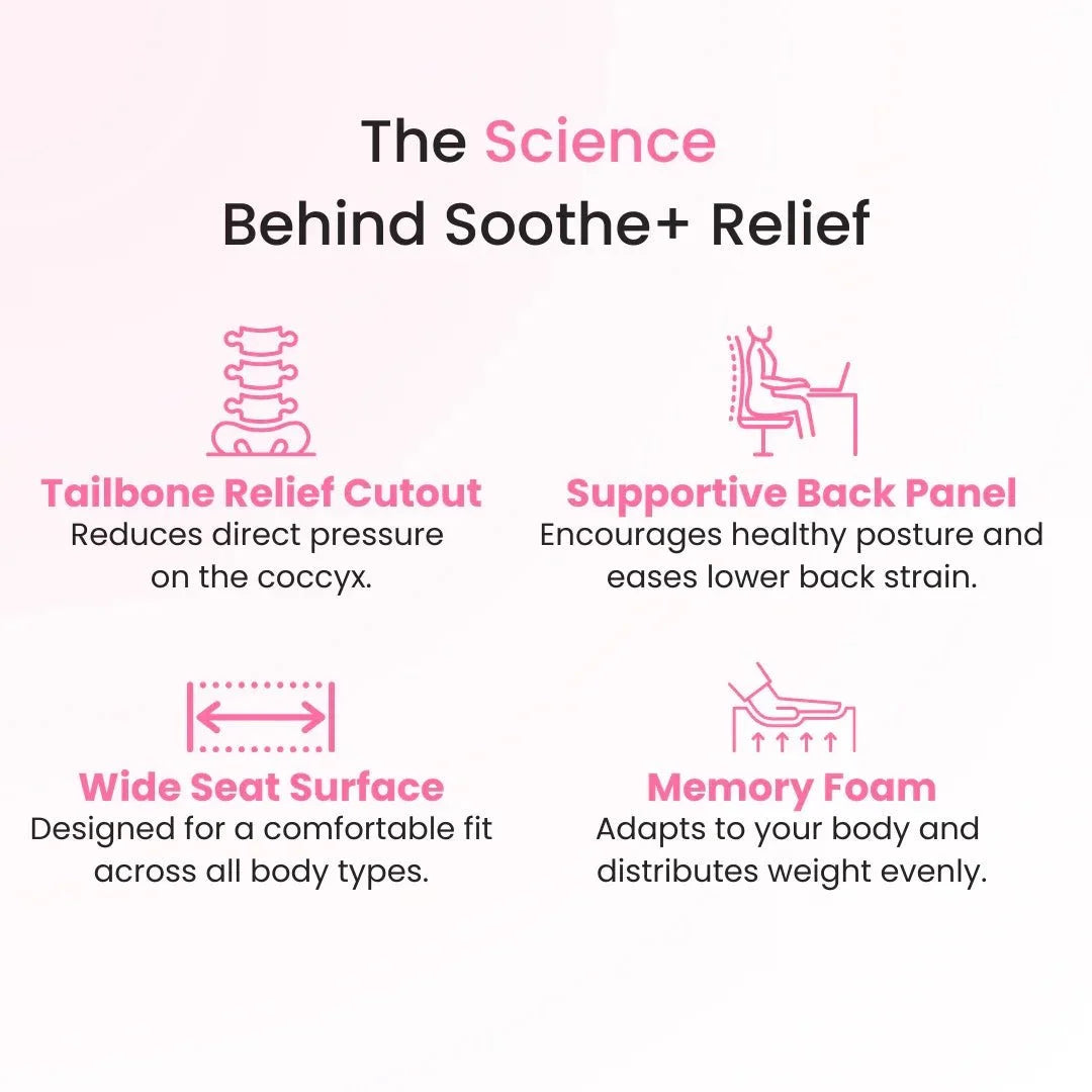 Premium Comfort Cushion